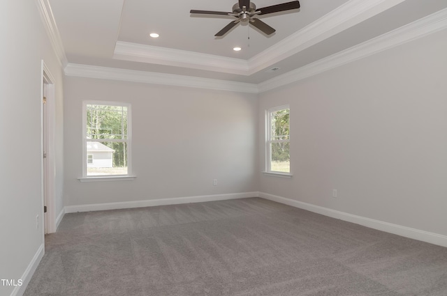 unfurnished room with a raised ceiling, a healthy amount of sunlight, and ornamental molding