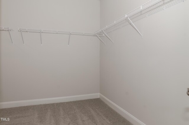 572 Glenkirk Pl, Garner, NC 27529 - photo 38