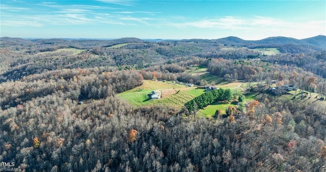 bird's eye view with a mountain view