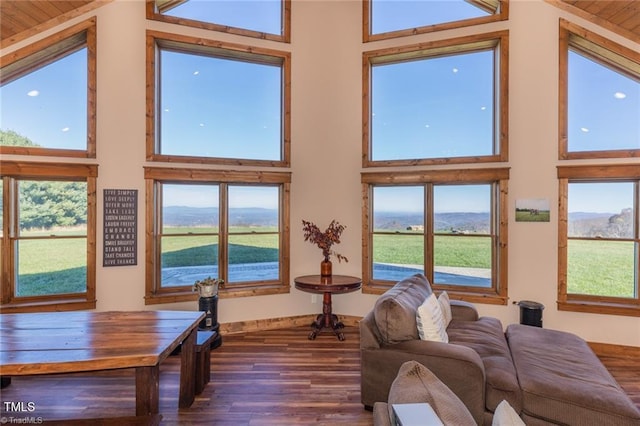 living room featuring dark hardwood / wood-style floors and high vaulted ceiling