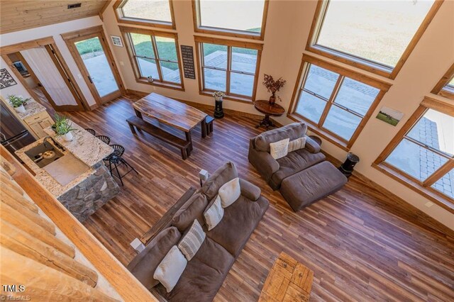 living room with a high ceiling, hardwood / wood-style flooring, and sink