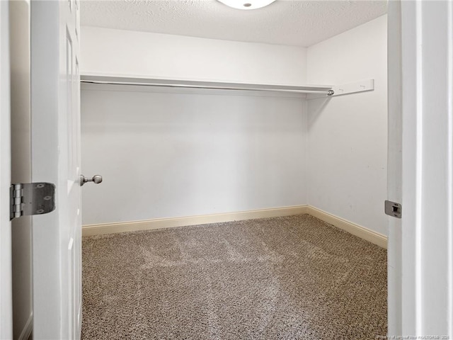 spacious closet featuring carpet