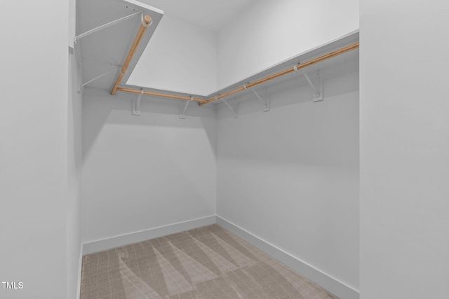 spacious closet featuring carpet floors