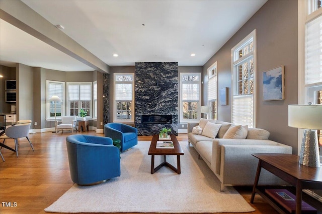 living room featuring hardwood / wood-style flooring and a premium fireplace