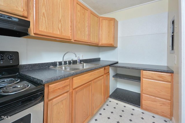 kitchen featuring exhaust hood, black range with electric cooktop, and sink