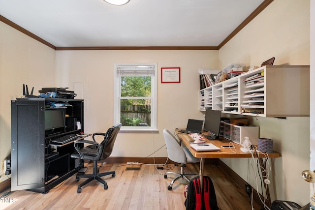 office featuring light hardwood / wood-style floors and ornamental molding