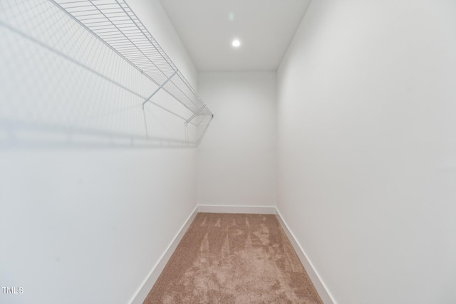 spacious closet featuring light colored carpet