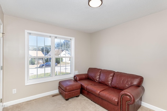 living room featuring a textured ceiling and light colored carpet