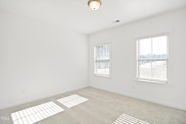 spare room featuring a wealth of natural light and light carpet