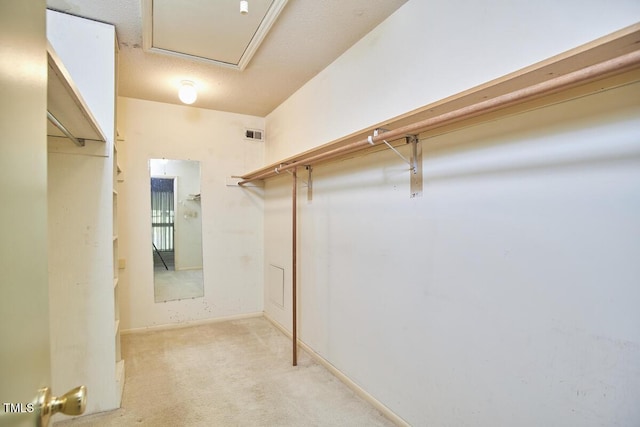 spacious closet with light colored carpet