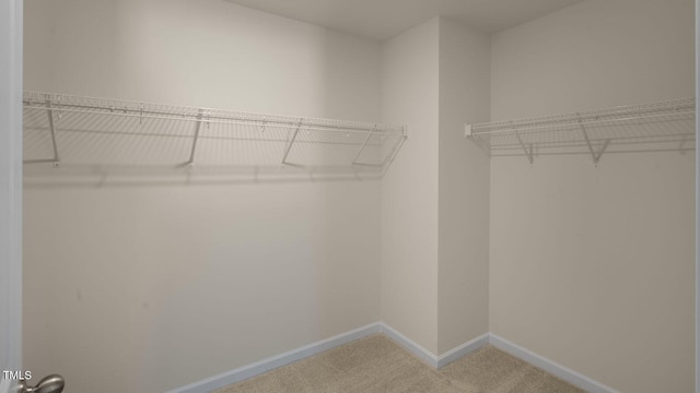 walk in closet with carpet