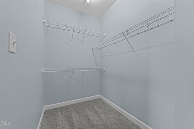 spacious closet featuring carpet floors