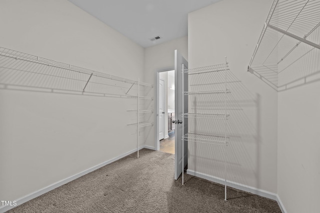 spacious closet with carpet flooring and visible vents