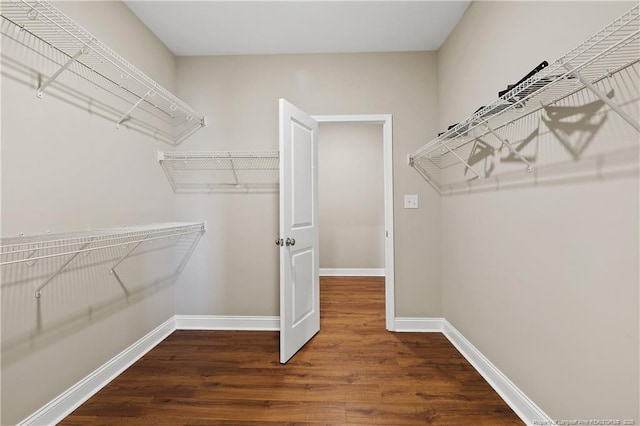 spacious closet with wood finished floors