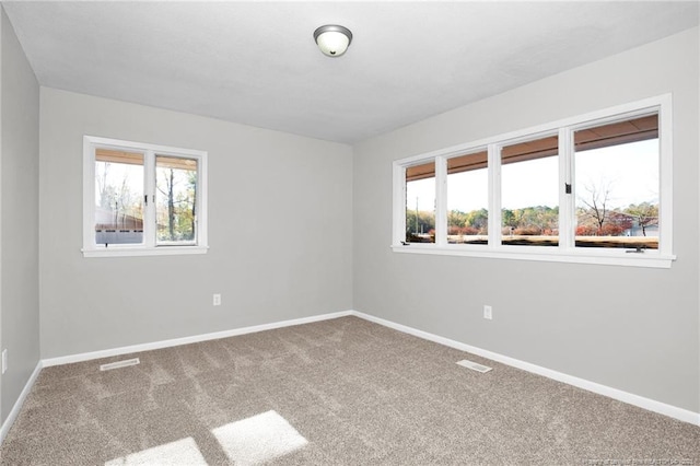 empty room featuring carpet flooring and plenty of natural light