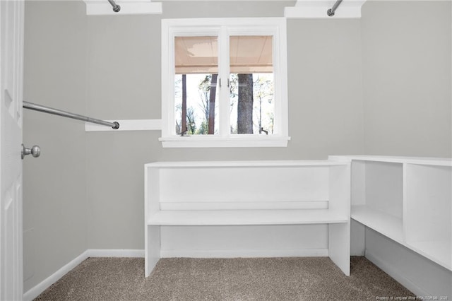 bathroom with a wealth of natural light