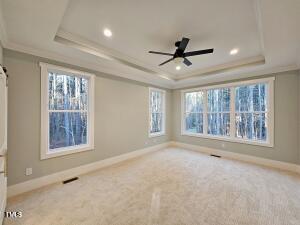 unfurnished room featuring a tray ceiling, plenty of natural light, and crown molding