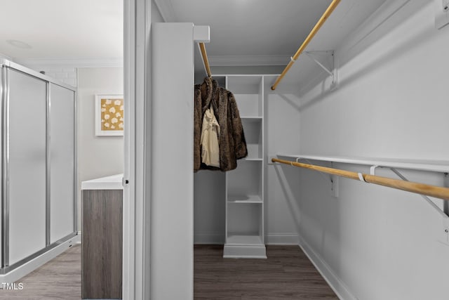 spacious closet featuring hardwood / wood-style flooring