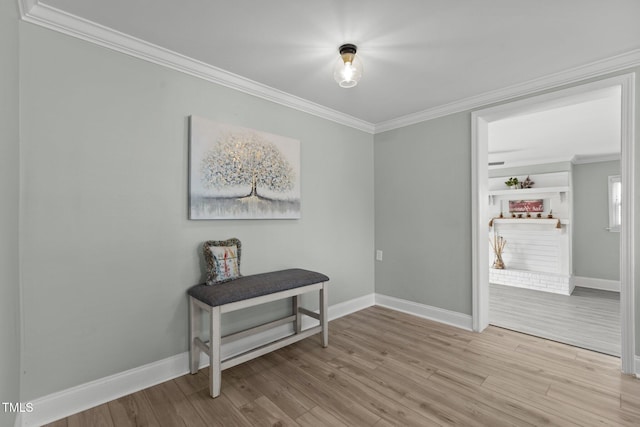 interior space with light hardwood / wood-style flooring and ornamental molding