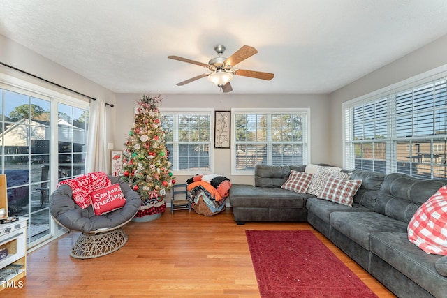 living room with ceiling fan and light hardwood / wood-style flooring