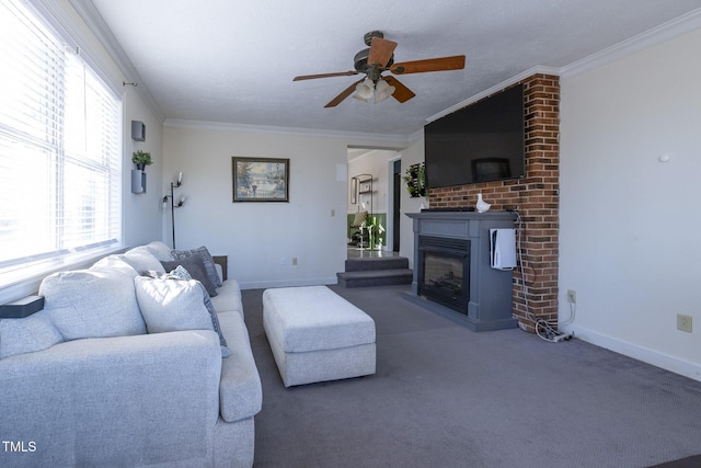 living room featuring dark colored carpet, ceiling fan, and crown molding