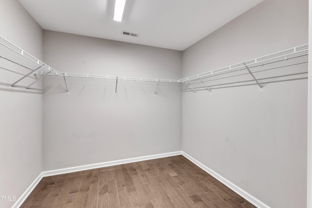 walk in closet with hardwood / wood-style flooring