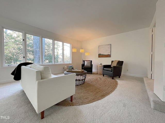 carpeted living room with plenty of natural light