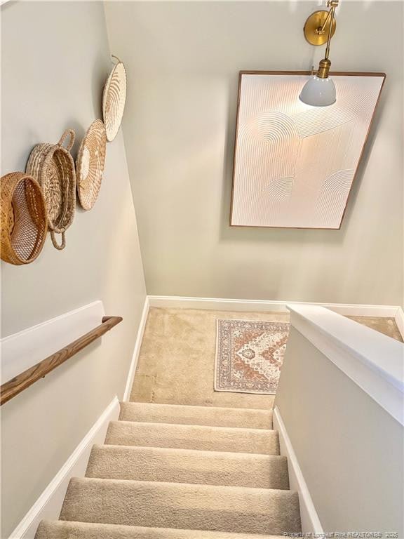 stairway featuring carpet flooring