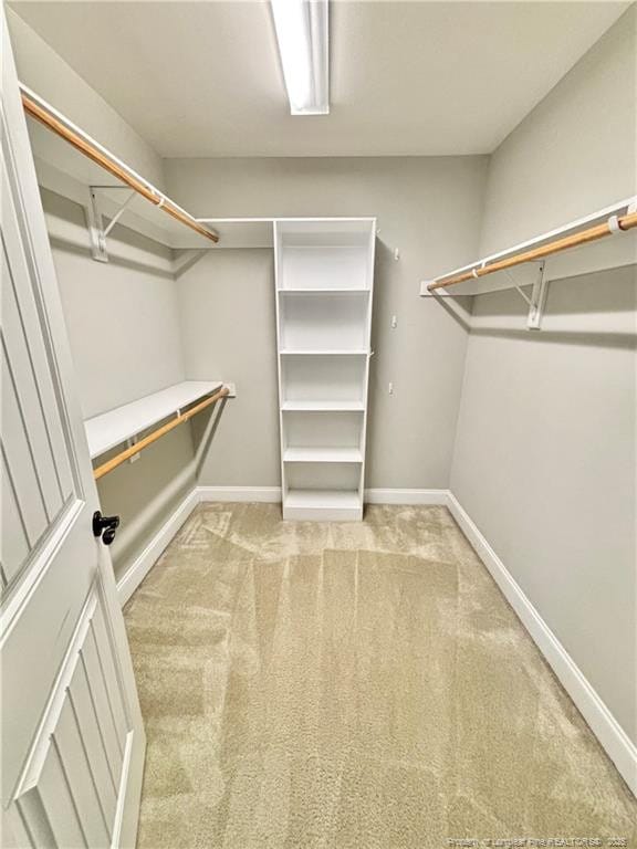 spacious closet with light colored carpet