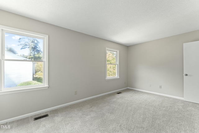 spare room with plenty of natural light, light colored carpet, and a textured ceiling