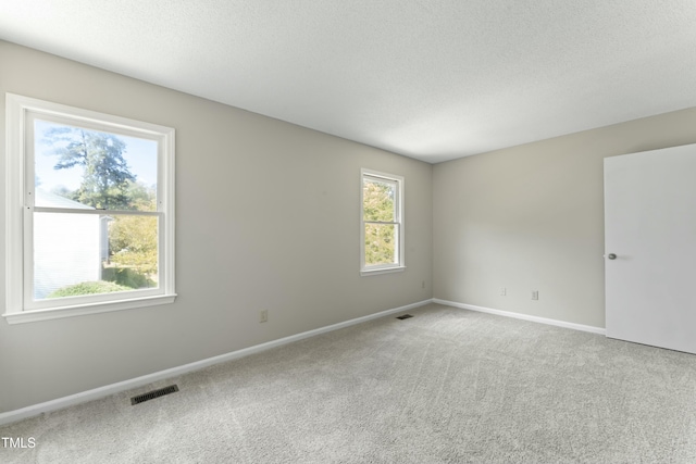 carpeted empty room with plenty of natural light and a textured ceiling