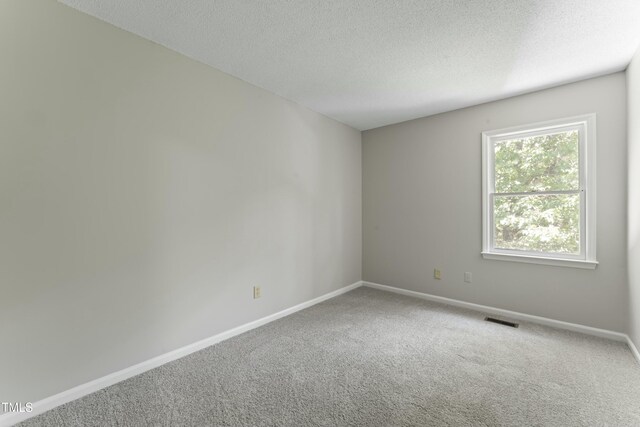 spare room featuring carpet flooring and a textured ceiling