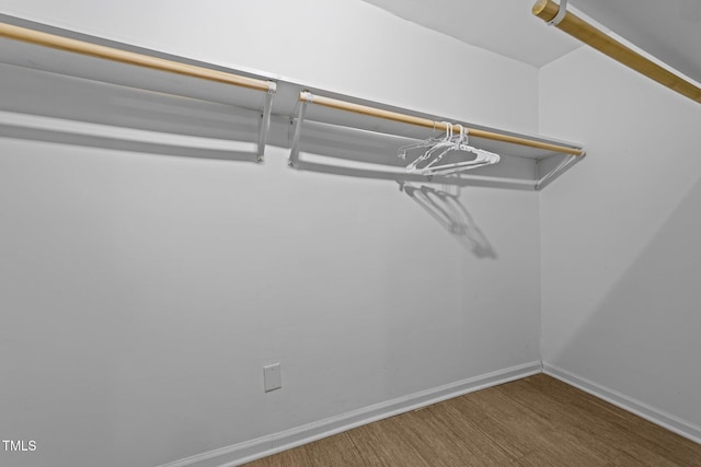 walk in closet with wood-type flooring