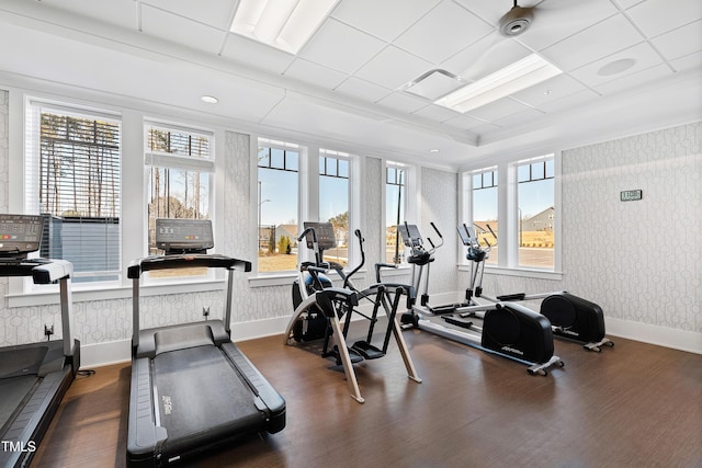 workout area featuring plenty of natural light and dark hardwood / wood-style floors