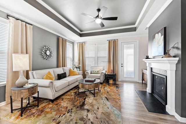 living room with hardwood / wood-style flooring, a healthy amount of sunlight, and a tray ceiling