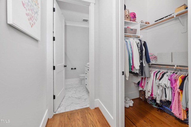 spacious closet featuring wood-type flooring