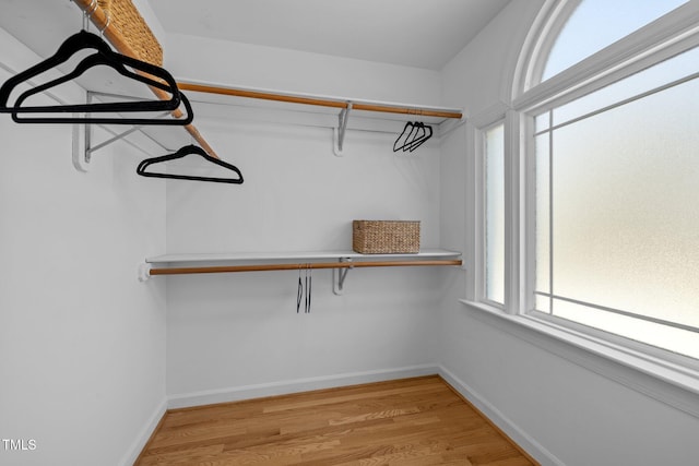 walk in closet featuring light wood finished floors