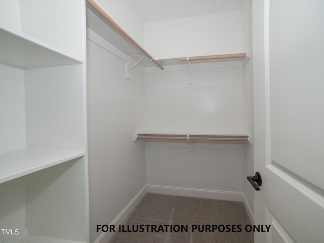 spacious closet with carpet