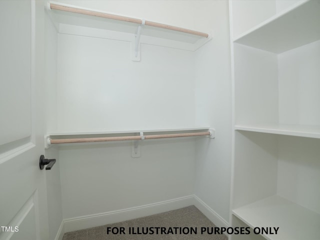 view of spacious closet