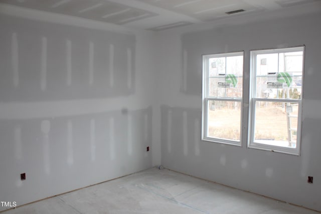 spare room with a wealth of natural light