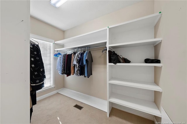 spacious closet with light carpet