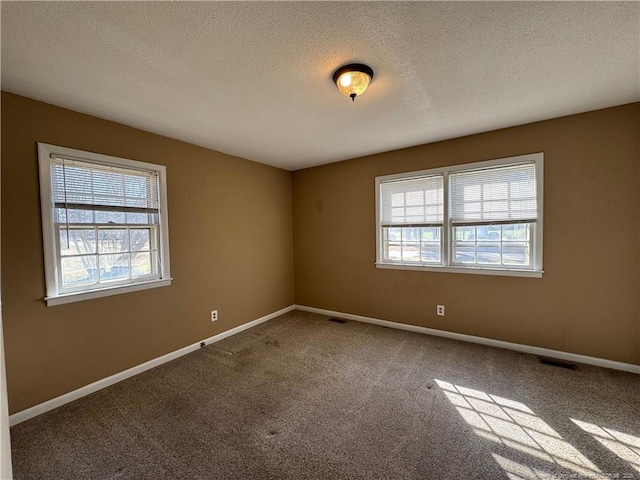 carpeted spare room featuring a textured ceiling and a wealth of natural light