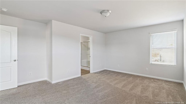 unfurnished room with carpet