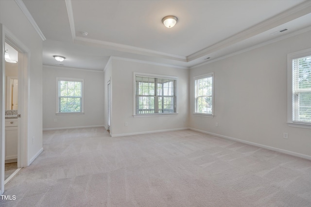 empty room featuring light colored carpet, a raised ceiling, and crown molding