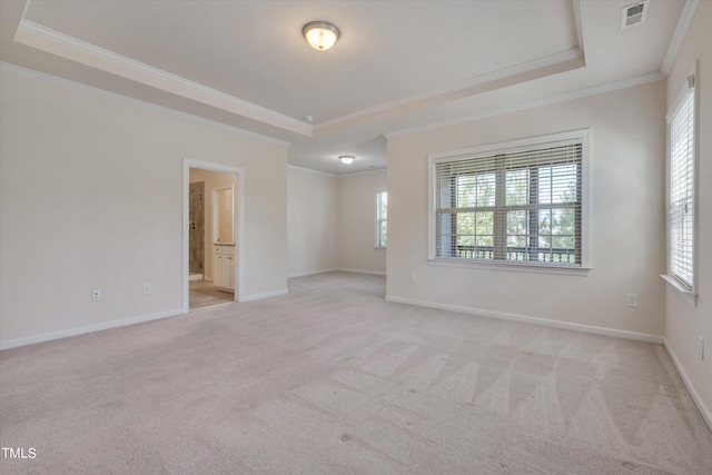 spare room with a raised ceiling, ornamental molding, and light carpet