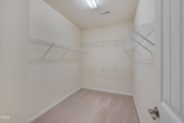 spacious closet featuring light carpet