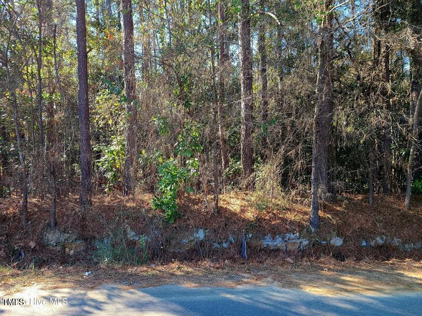 0 N W St, Roseboro, NC 28382