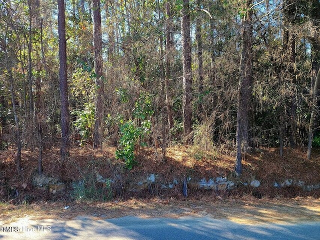 0 N W St, Roseboro, NC 28382