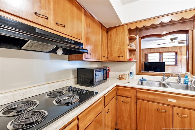 kitchen with ceiling fan, black electric cooktop, and sink