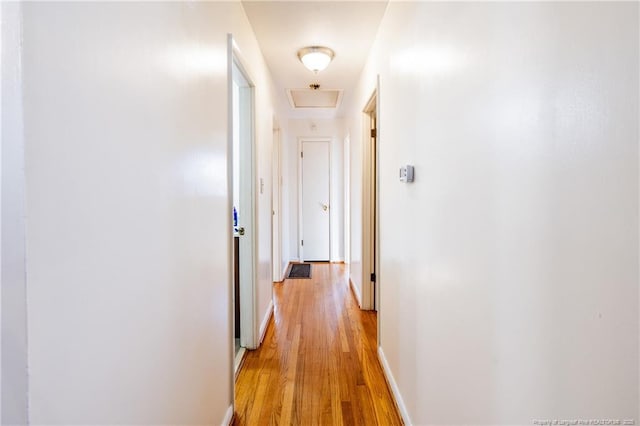 corridor featuring light hardwood / wood-style flooring